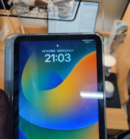 如何准确检测iPad是否为原装正品（掌握关键技巧，轻松辨别真伪）