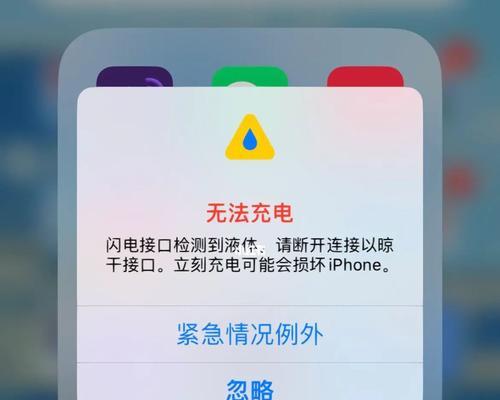 解决iPhone无法充电的问题（iPhone充电故障的原因和解决方法）