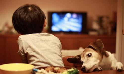 如何正确引导小孩看电视（培养健康电视观看习惯的秘诀）