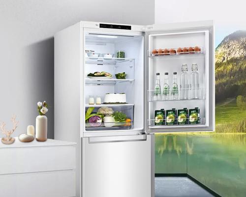 解决LG冰箱显示FF问题的方法（如何应对LG冰箱显示FF错误的情况）