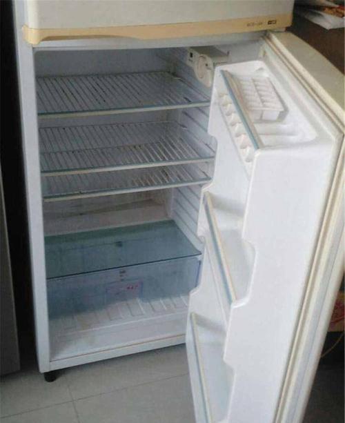 冰箱堵塞的原因与解决方法（如何快速检查冰箱是否堵塞）