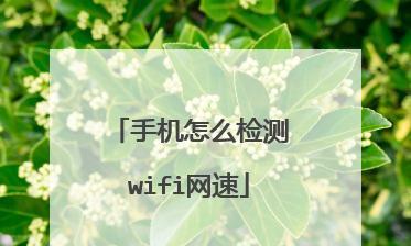 如何用手机测量WiFi网速（教你一步步进行WiFi网速测试）