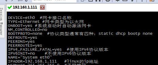 Linux系统下的IP地址修改方法（详解Linux系统下如何修改IP地址及常见问题解决方法）