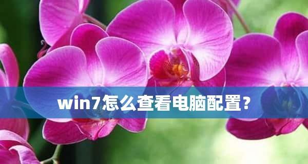 如何查看电脑配置win7显卡（掌握win7系统下查看电脑显卡配置的简便方法）