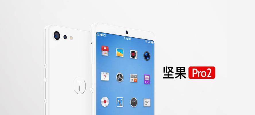 坚果Pro2详细评测？性能表现和用户体验如何？
