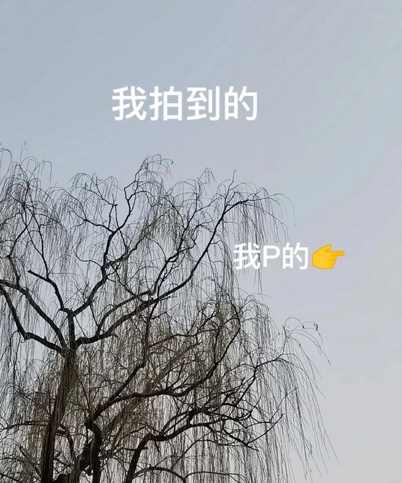 手机举高拍照时如何处理俯角P图？操作方法是什么？