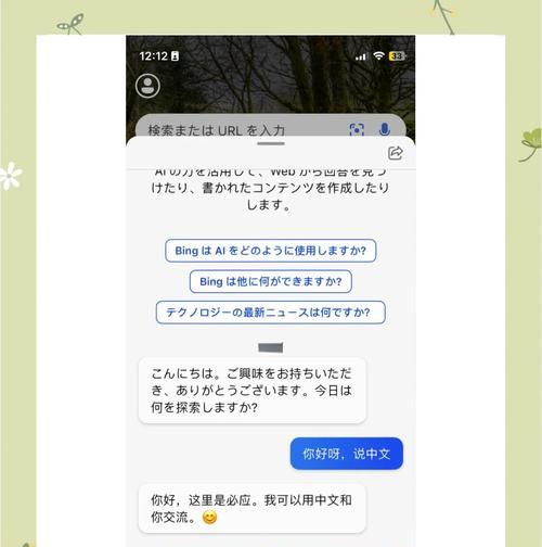 苹果手机使用Bing搜索引擎的步骤是什么？