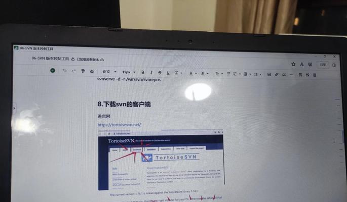 NAS服务器配置DDNS的步骤是什么？配置中常见问题如何解决？