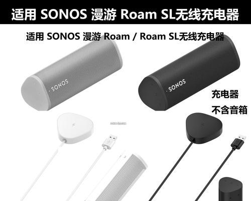 户外大音响专用充电器是什么品牌？如何选择合适的充电器？