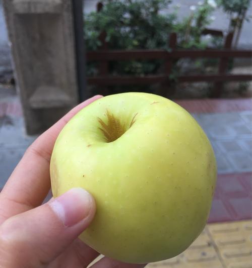 伊朗市场目前流行哪些型号的苹果手机？