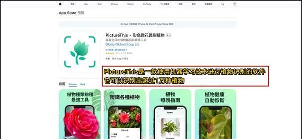 分辨路由器几类线？哪些特征可以帮助识别？