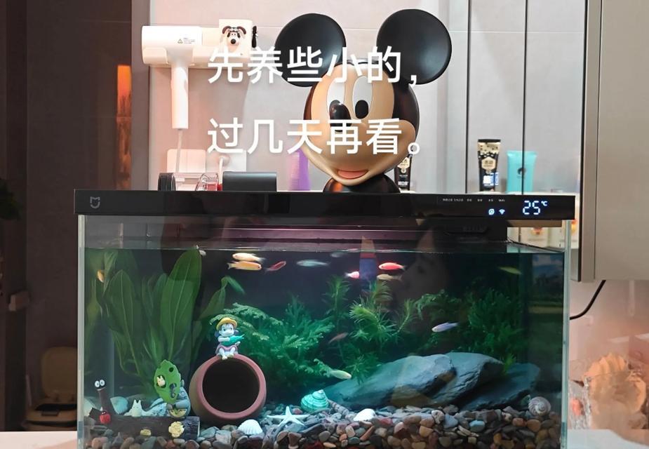 小米鱼缸连接wifi的步骤有哪些？