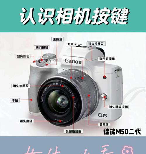 佳能相机R55的使用技巧有哪些？如何快速上手？