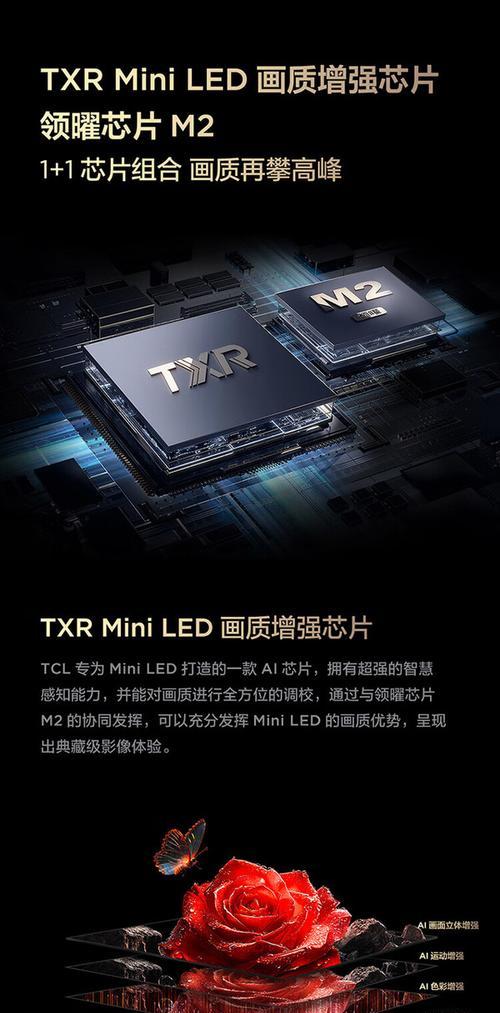 哪款电视机支持最多应用安装？