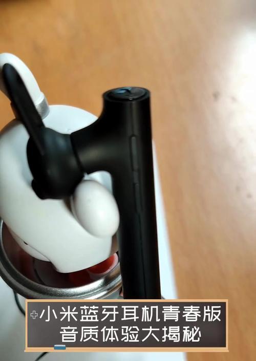 青春版蓝牙耳机的配套软件如何使用？功能有哪些？