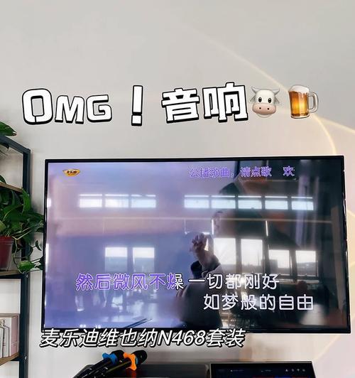 嘉辰家庭户外音响质量如何？使用效果怎么样？