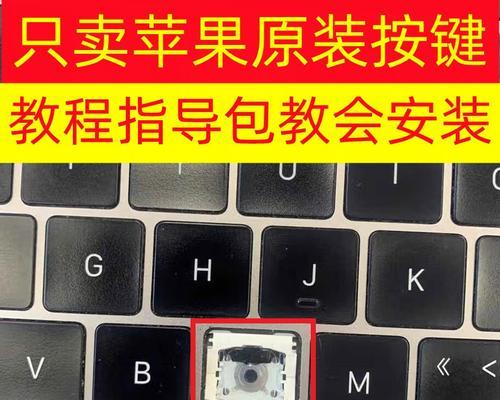 苹果电脑放大缩小按钮设置？操作步骤是什么？