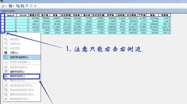 服务器许可码如何快速获取？