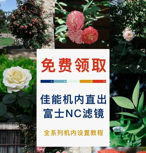 佳能相机图片如何分开保存？操作方法是什么？